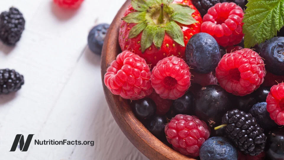 The Link Between Flavonoids and Longevity: Exploring Dietary Impacts