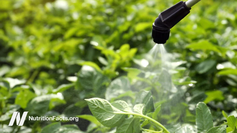 Understanding Glyphosate Exposure: Impacts on Pregnancy and Children's Health