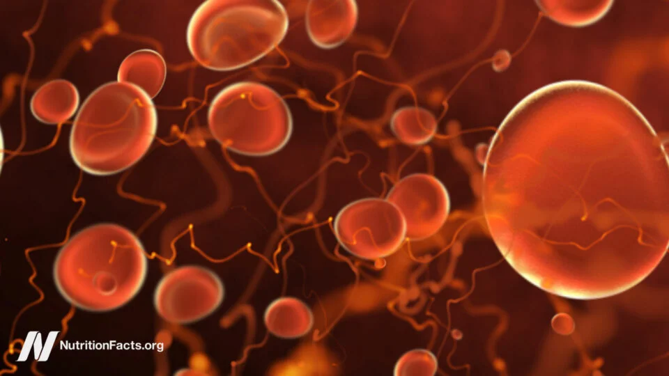 The Link Between Body Fat and Tumor Growth: Implications for Obesity Treatment