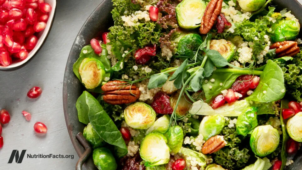 Understanding the Impact of Food Choices on Telomere Health and Cellular Aging