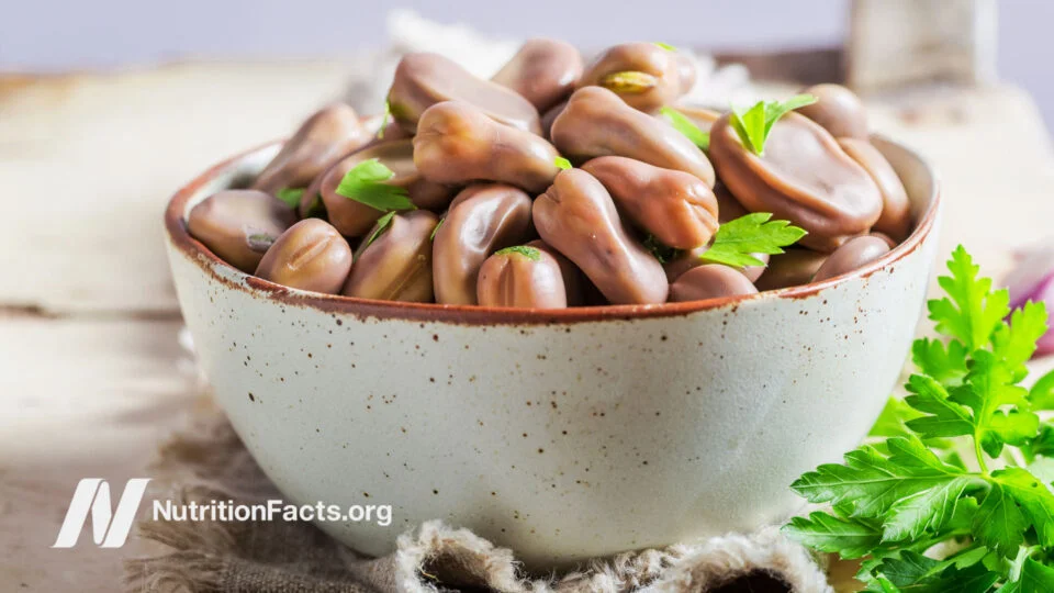 The Role of Fava Beans and Soy in Managing Parkinson’s Disease Symptoms