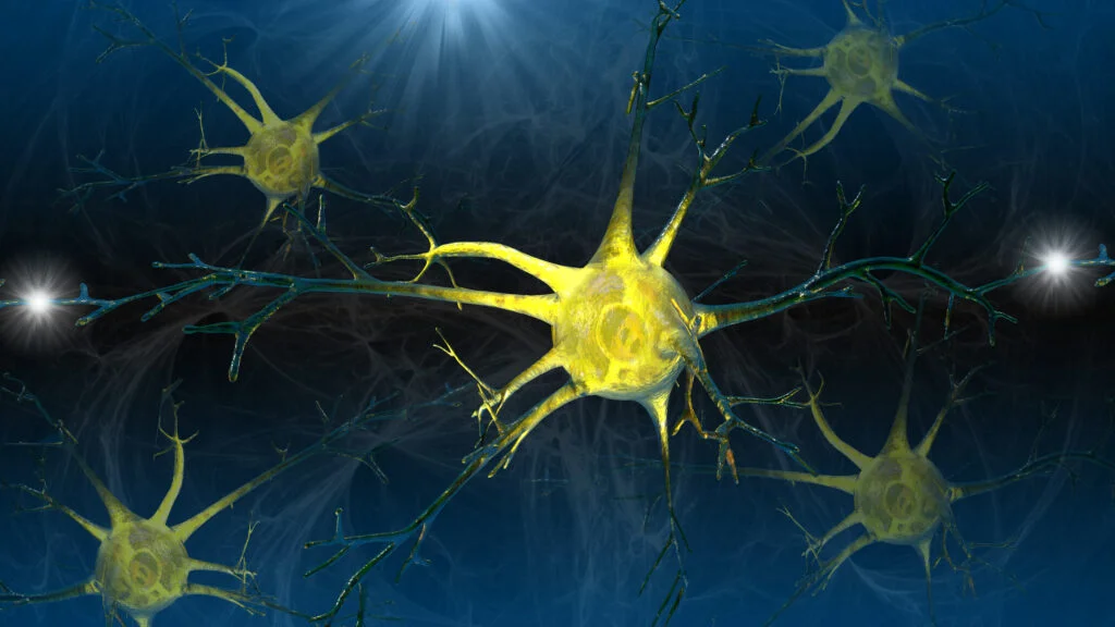 Optogenetics Offers New Hope for Retinitis Pigmentosa Patients