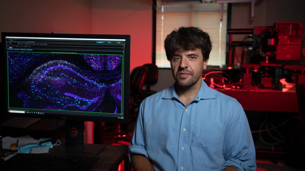 Advancements in Optogenetics Propel Experimental Therapies for Blindness and Alzheimer’s